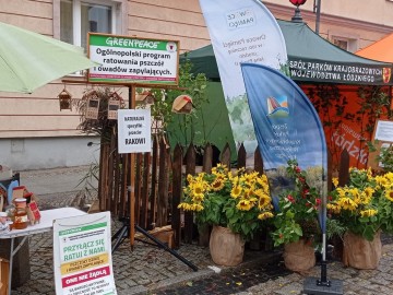 44. Święto Kwiatów, Owoców i Warzyw - w optymistycznym kolorze, 
